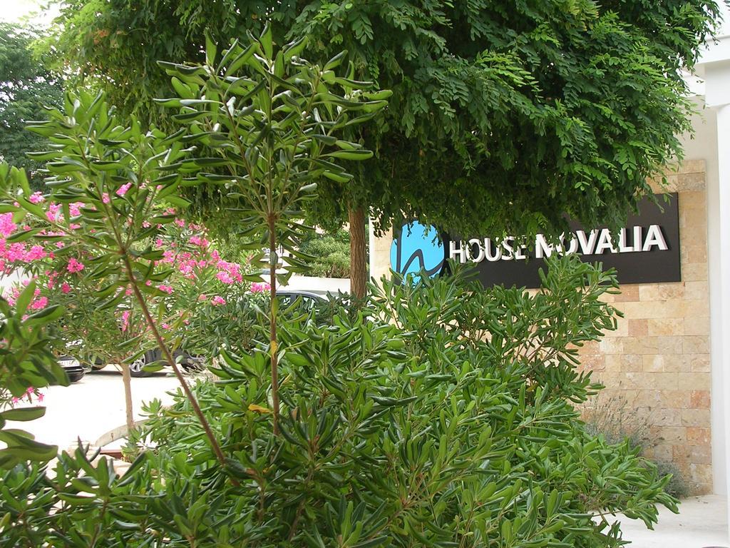 House Novalia Hotel โนวาลยา ภายนอก รูปภาพ